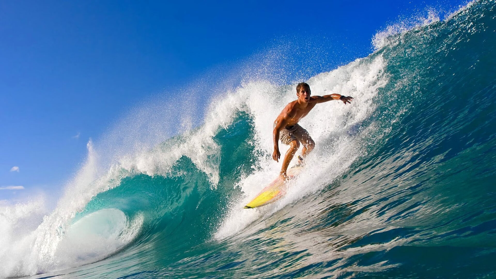 Scout回归赛场，赛事规则更新首场状态亮眼，澳大利亚队观众沸腾！